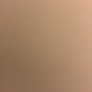 Meet your Posher, Chloe